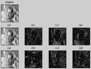 Matlab and Image Processing Works